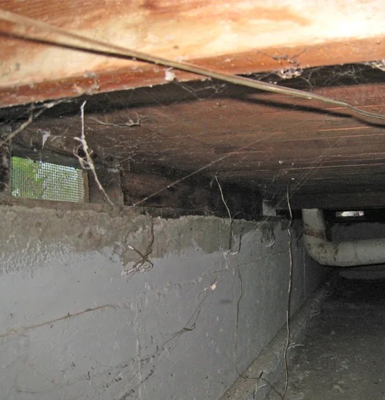 Crawlspace Encapsulation in Euless, TX