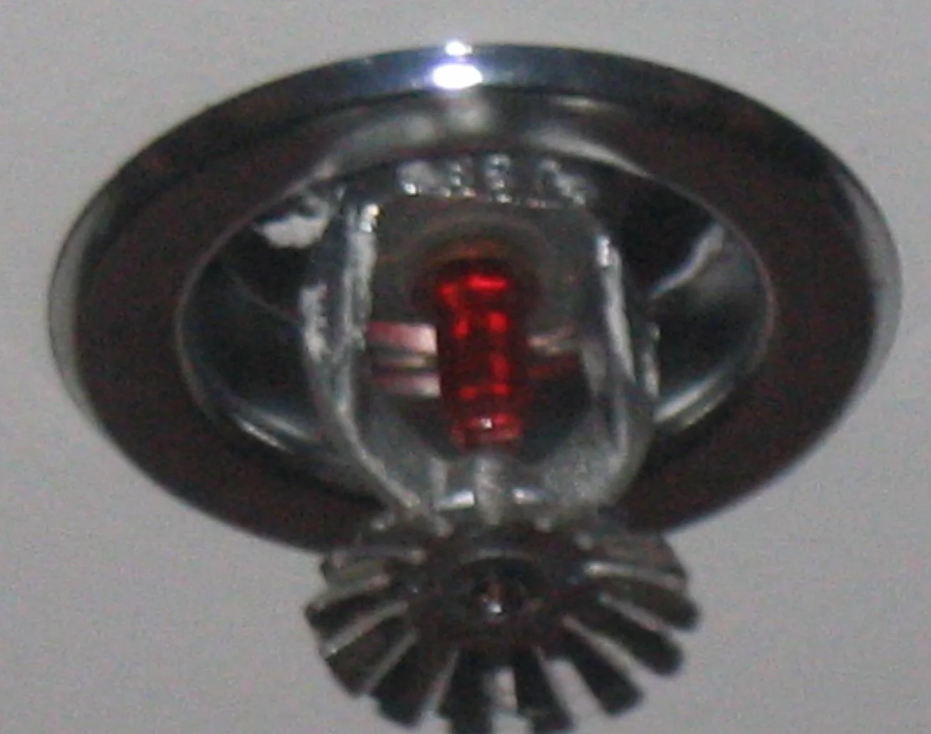 Fire Sprinkler Cleanup in Euless, TX