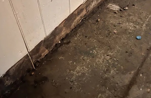Suicide Cleanup in Euless, TX