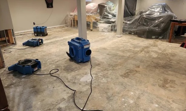 Moisture Mapping in Euless, TX